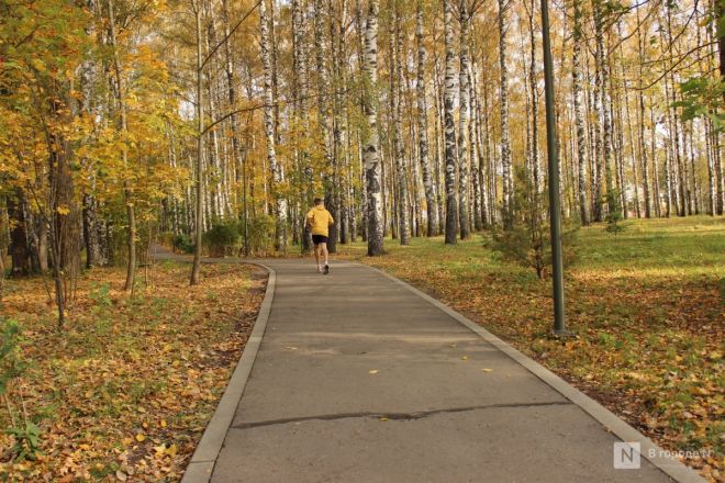 Фоторепортаж: золотая осень в Нижнем Новгороде - фото 31