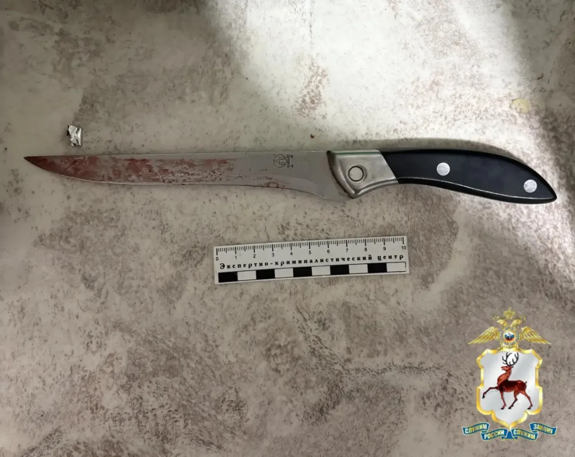 Нижегородке вынесли приговор за убийство брата ножом - фото 1