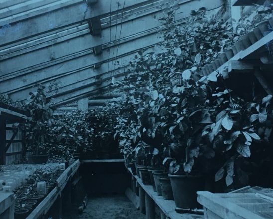 Павлово в Нижегородской области: история и архивные фото родины &laquo;ПАЗиков&raquo; - фото 13