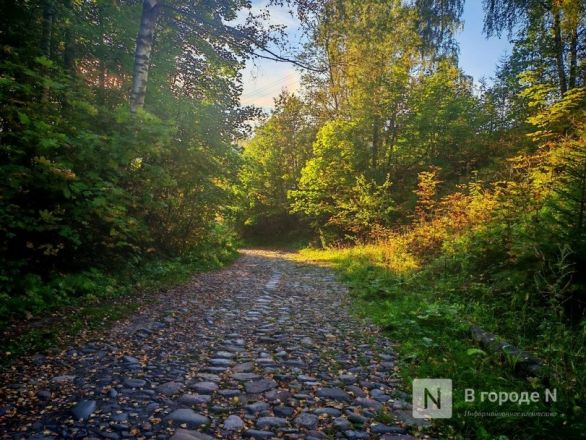 Город с открытки: почему Плес привлекает туристов и стоит ли вообще туда ехать - фото 57