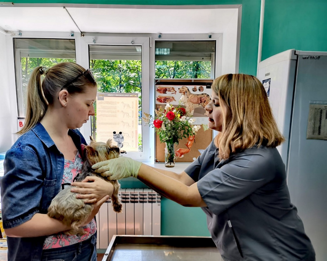 Четвертый ветеринарный кабинет открылся в Московском районе - фото 1