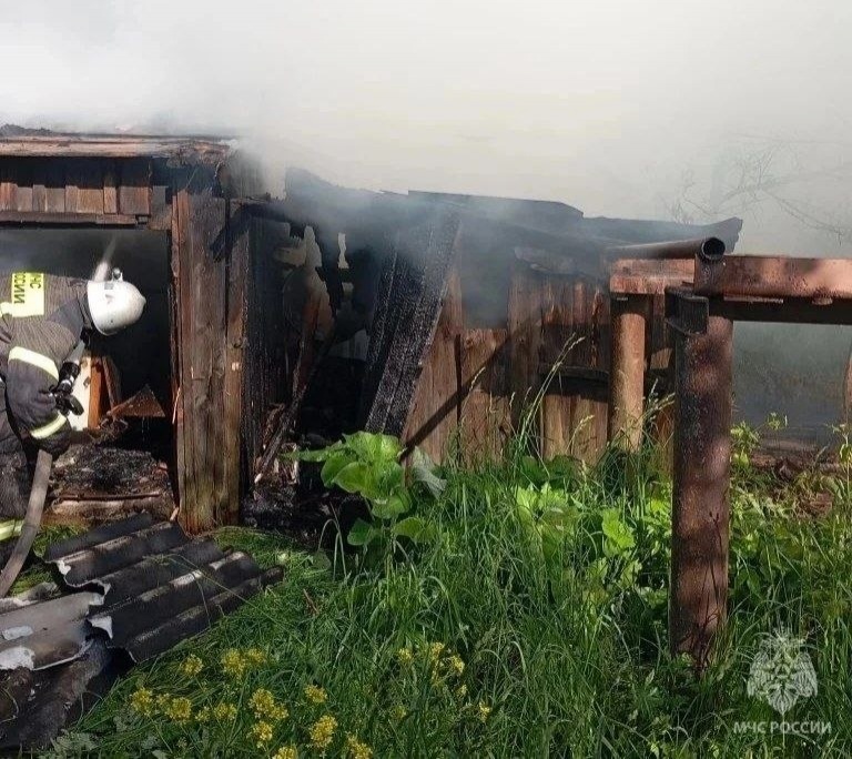 Блок сараев площадью 60 «квадратов» сгорел в Лукояновском округе — фото - фото 4