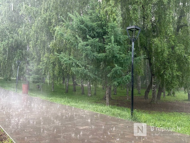 Сильные дожди нагрянут в Нижегородскую область - фото 1