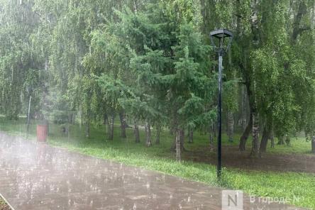 Сильные дожди нагрянут в Нижегородскую область в ближайшие часы