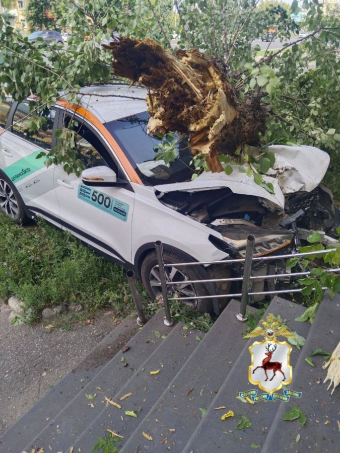Появились подробности жуткого ДТП с участием каршеринга в Нижнем Новгороде - фото 1