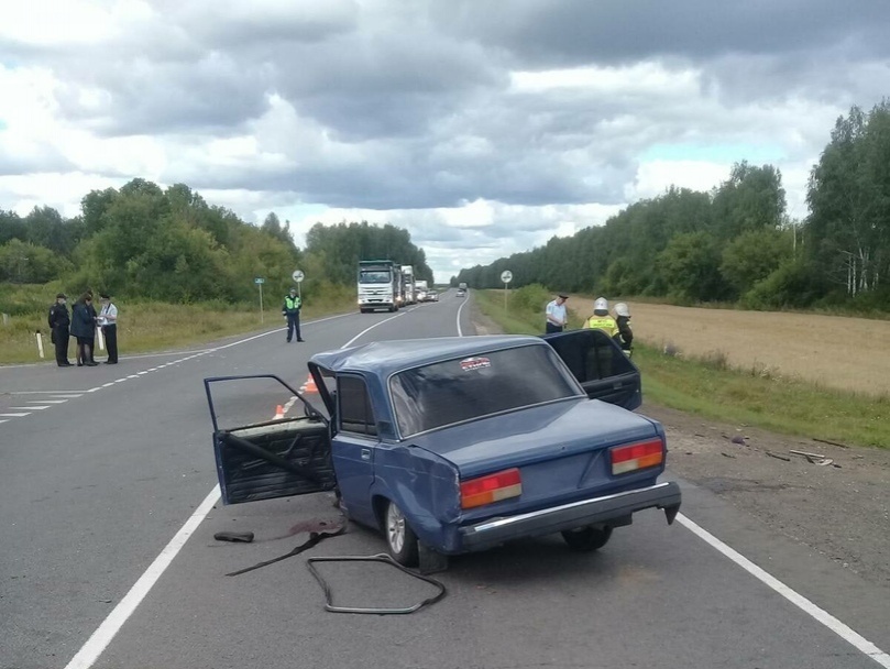 Два пожилых человека погибли в ДТП в Лукояновском районе - фото 1