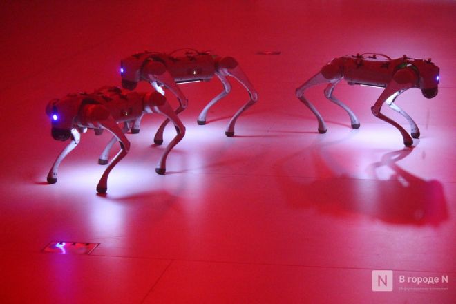 Просто вау: фоторепортаж со всех локаций INTERVALS &mdash; 2025 в Нижнем Новгороде - фото 9