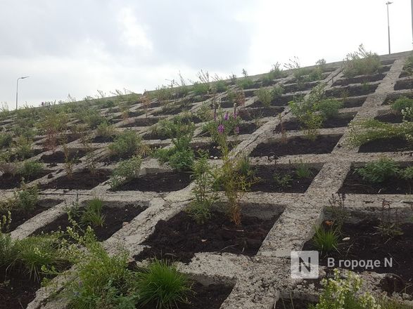 Велодорожка и сады на бетонном склоне: новая жизнь набережной Гребного канала - фото 28