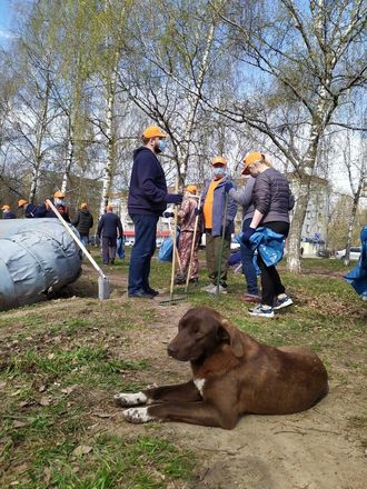 Более 120 сотрудников ГК &laquo;Волгаэнерго&raquo; приняли участие в общероссийском субботнике 24 апреля - фото 5