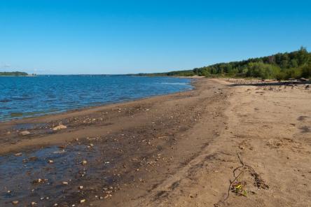 7 опасных болезней, которыми можно заразиться на любом пляже