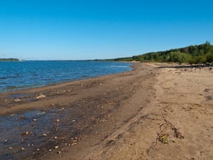 7 опасных болезней, которыми можно заразиться на любом пляже