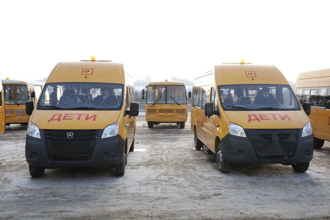 Новые школьные автобусы получат 50 районов Нижегородской области - фото 3