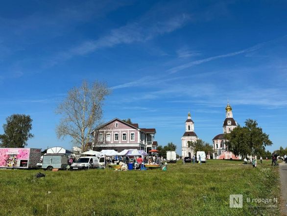 Фестиваль фольклора проходит в Нижегородской области - фото 10