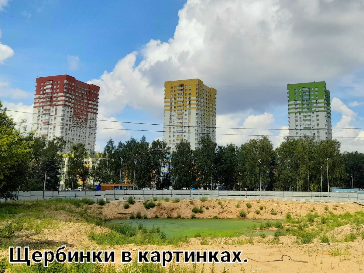 Нижегородцы обнаружили болото на месте снесенного кинотеатра «Импульс»